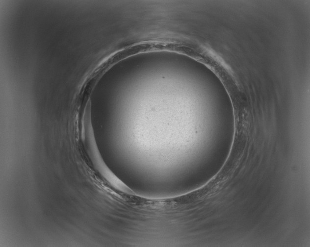X0000084041352200702232314