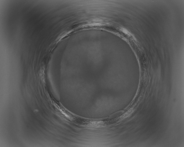 X0000084041353200702232314