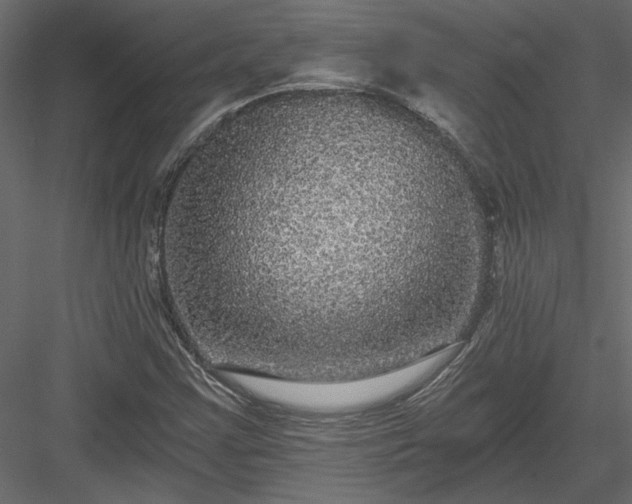 X0000084041355200702232314