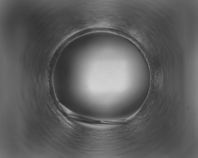 X0000084041356200702232314