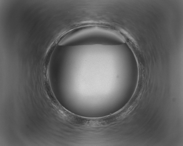 X0000084041357200702232314