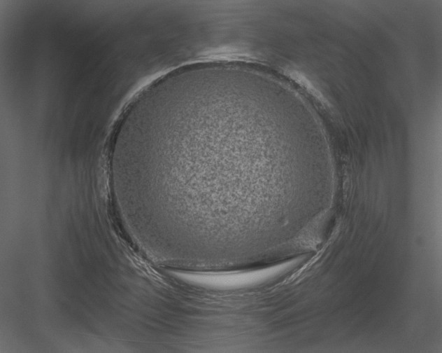 X0000084041358200702232314