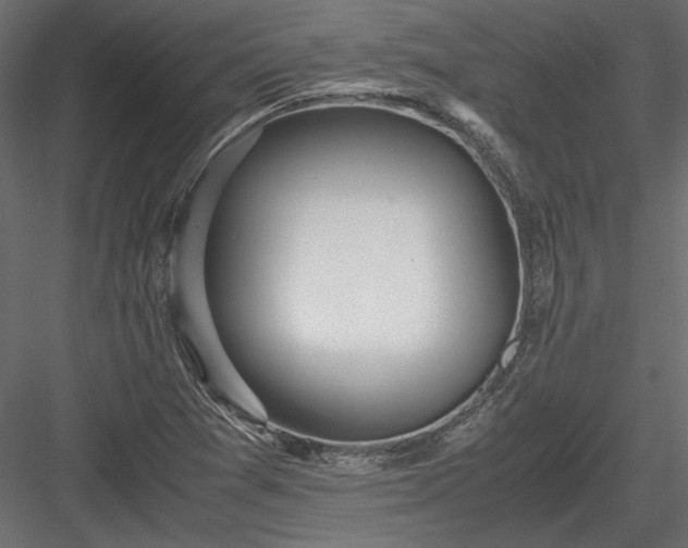 X0000084041361200702232314