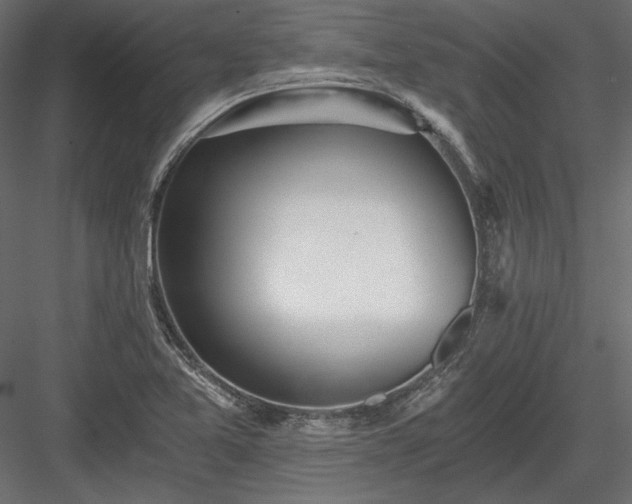 X0000084041365200702232314