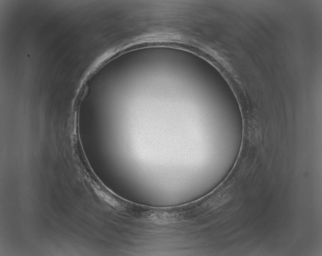 X0000084041366200702232314