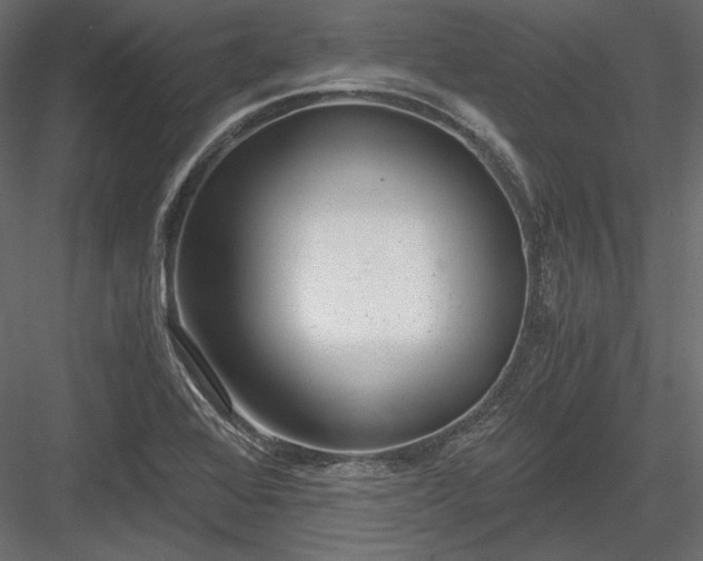 X0000084041368200702232313
