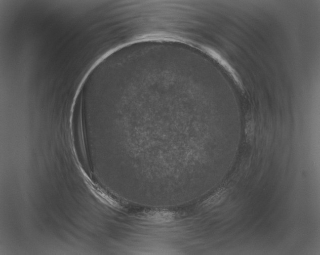 X0000084041372200702232313