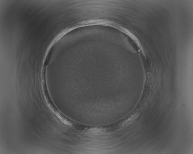 X0000084041373200702232313