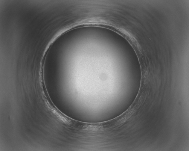 X0000084041374200702232313