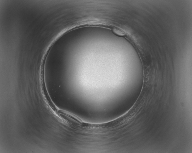 X0000084041375200702232313