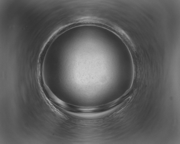 X0000084041376200702232313