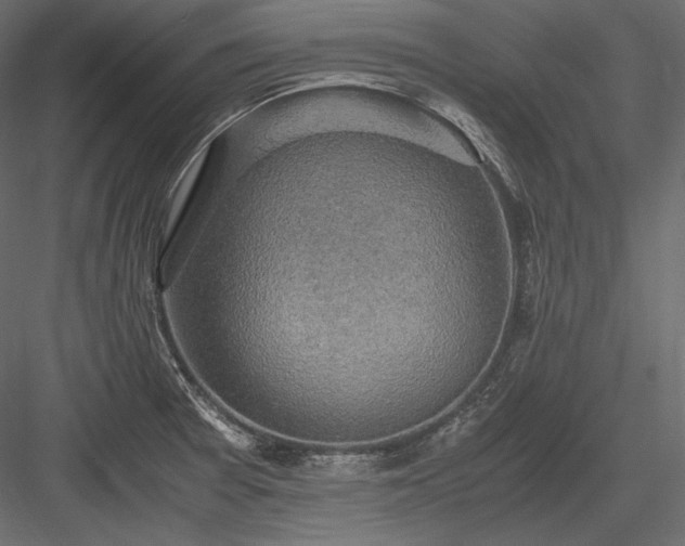 X0000084041377200702232313