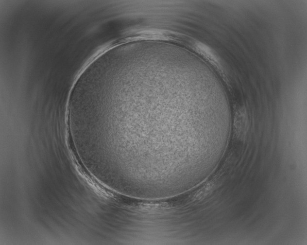 X0000084041378200702232313