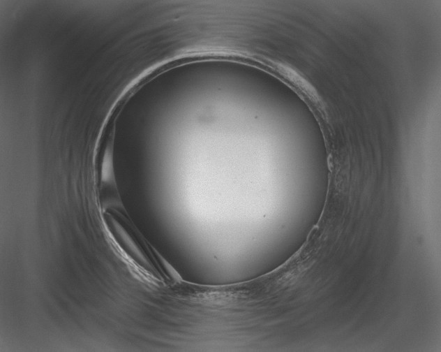 X0000084041380200702232313