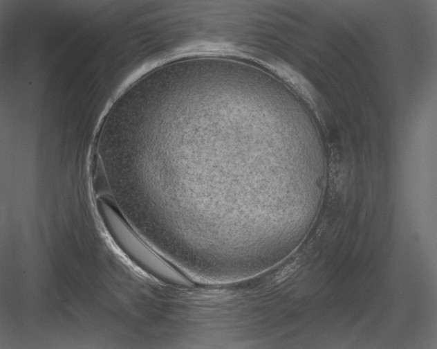 X0000084041382200702232313