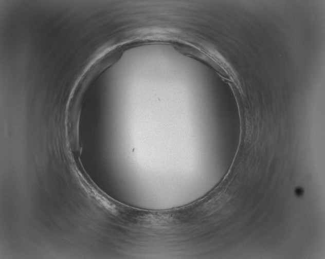 X0000084041384200702232313