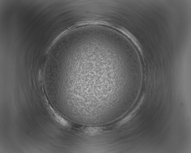 X0000084041385200702232313
