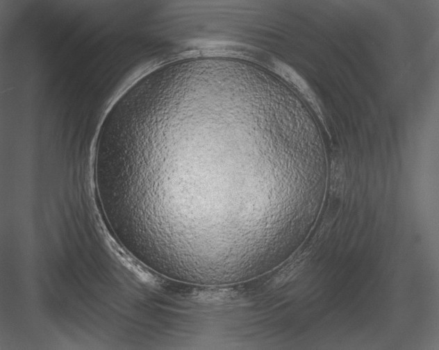X0000084041386200702232313