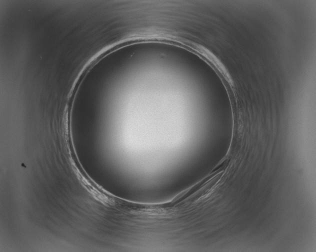 X0000084041388200702232313