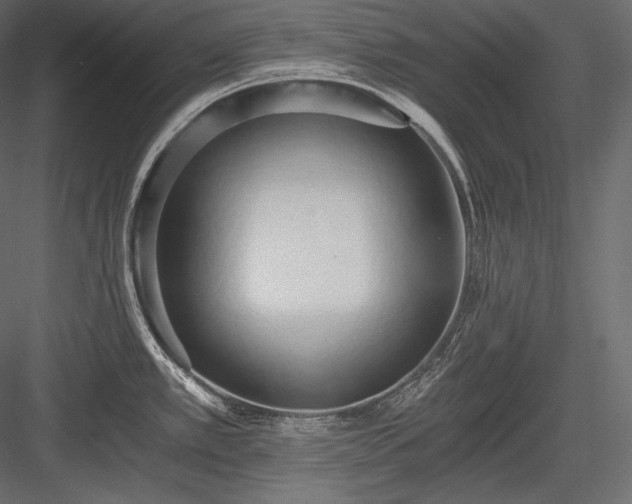 X0000084041389200702232313