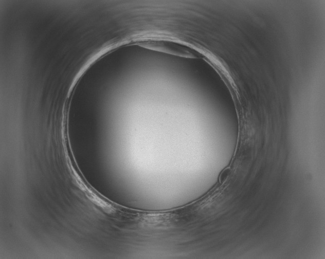 X0000084041390200702232313