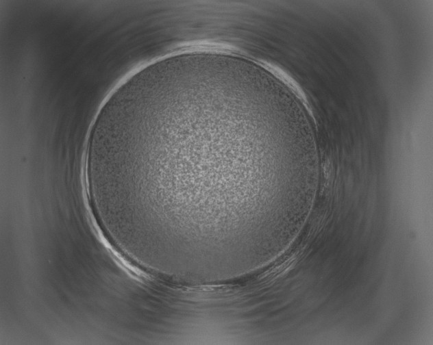 X0000084041391200702232313