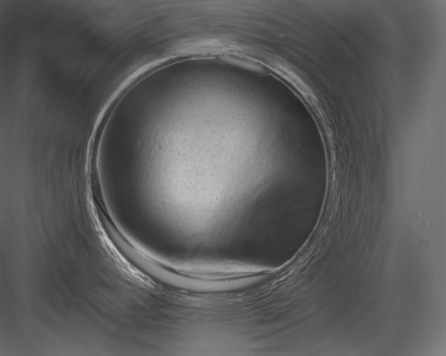 X0000084041392200702232313
