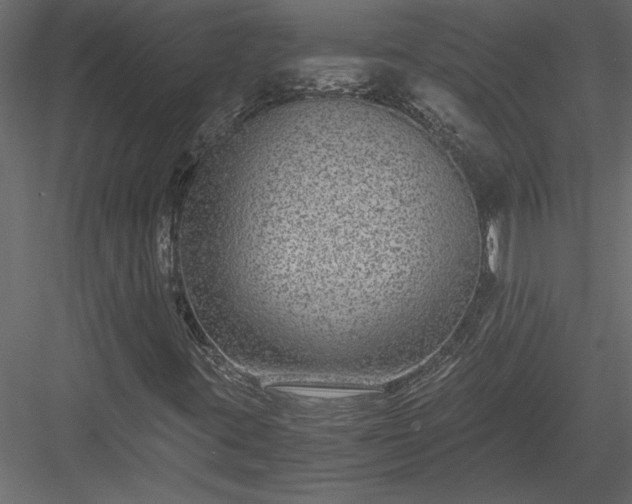 X0000084041395200702232312