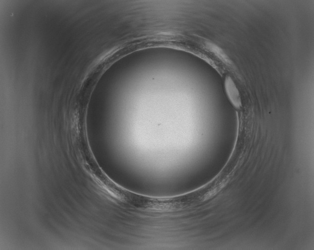 X0000084041402200702232312