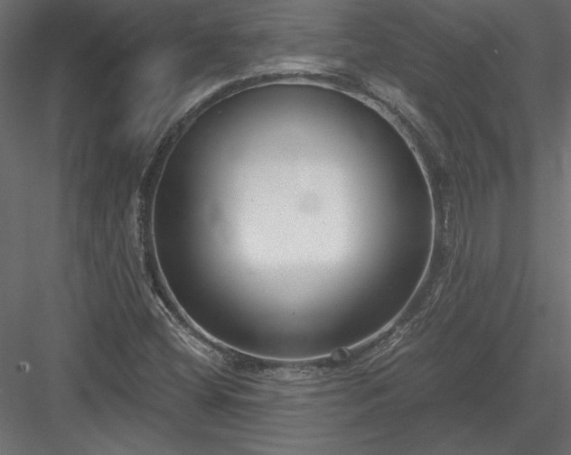 X0000084041404200702232312