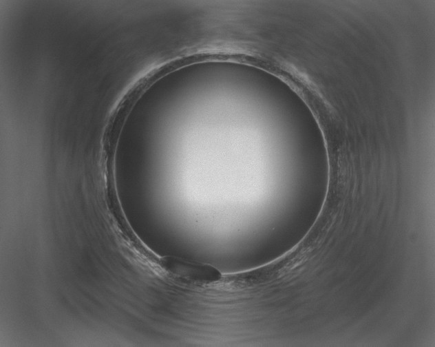 X0000084041408200702232313