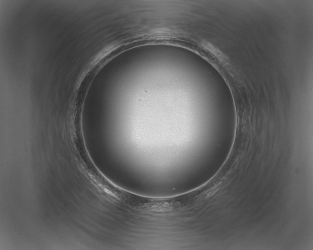 X0000084041410200702232313