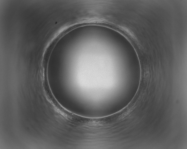 X0000084041414200702232313