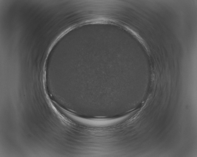 X0000084041418200702232313