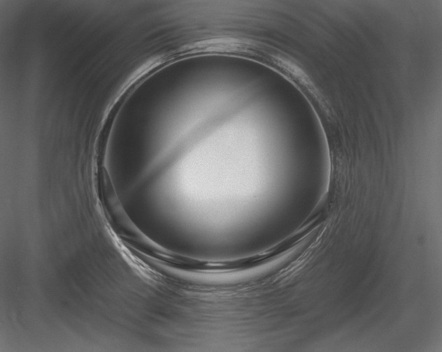 X0000084041426200702232313