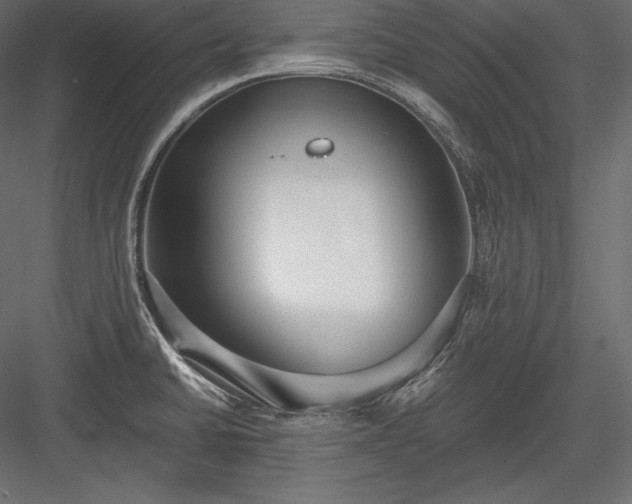 X0000084041430200702232313