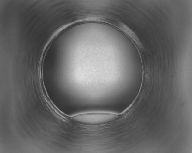 X0000084041436200702232313