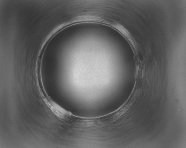 X0000084041438200702232313