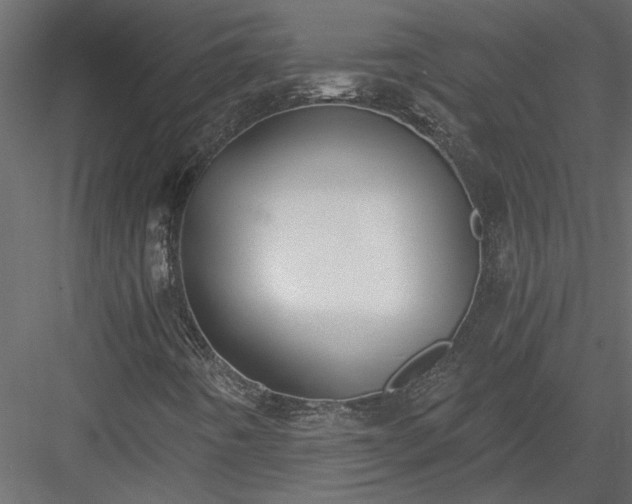 X0000084041442200702232312