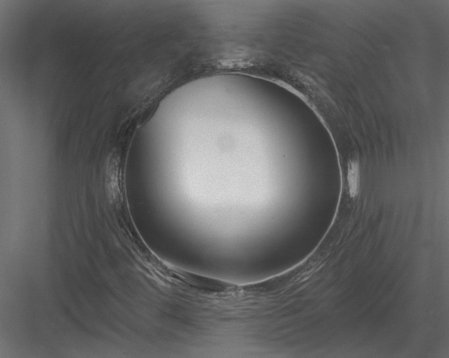 X0000084041444200702232312