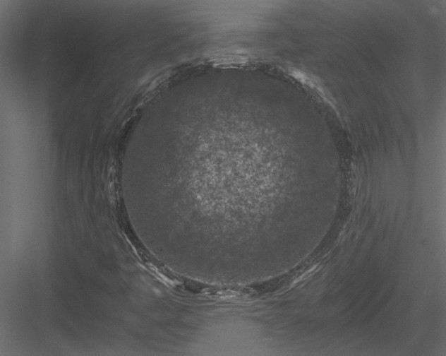 X0000084041445200702232312