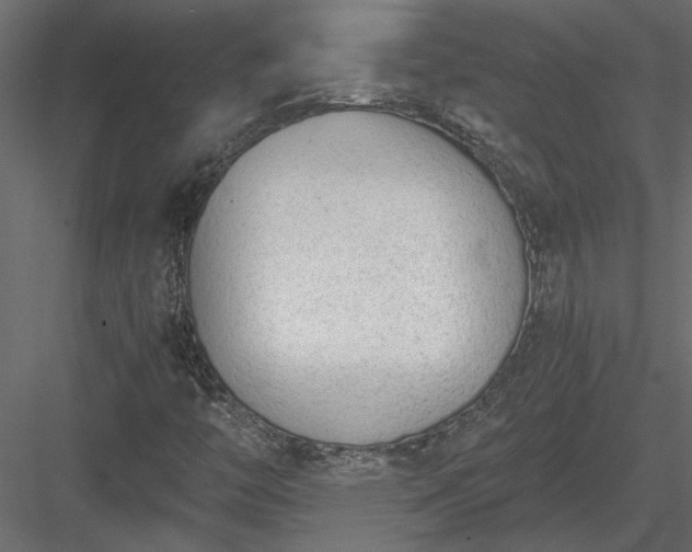 X0000084041446200702232312