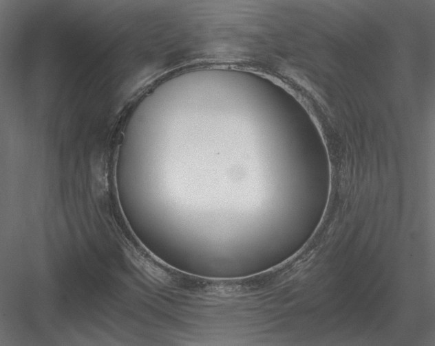 X0000084041451200702232312