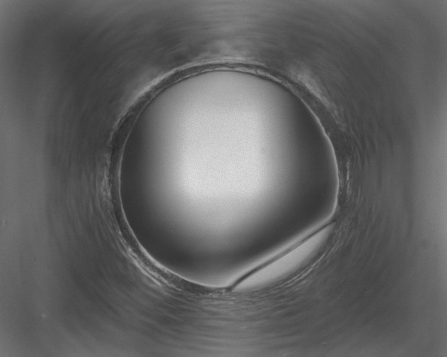 X0000084041452200702232312