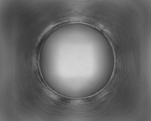 X0000084041454200702232312