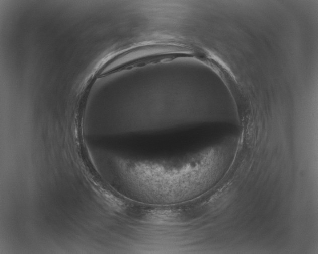 X0000084041455200702232312