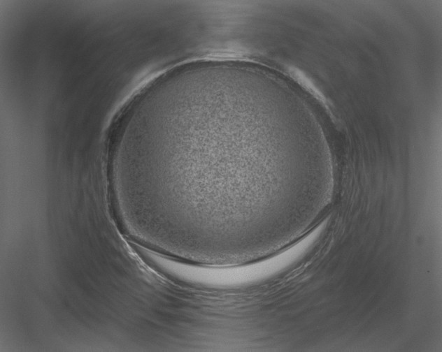 X0000084041456200702232312