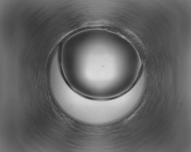 X0000084041457200702232312