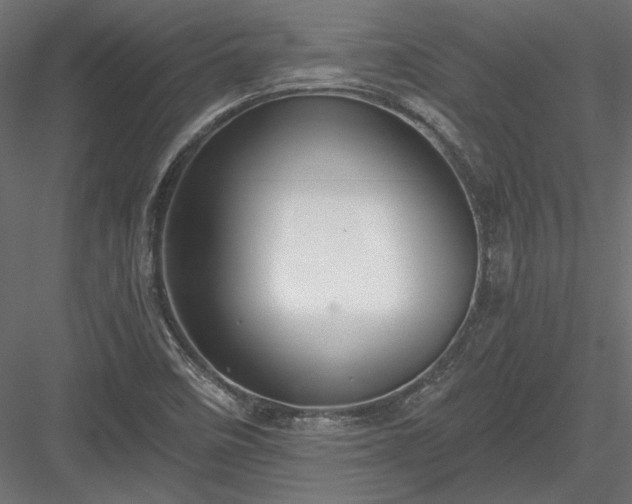 X0000084041458200702232312