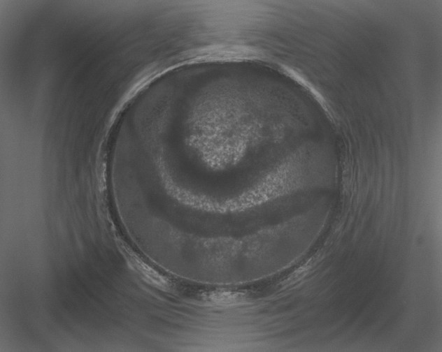 X0000084041459200702232312